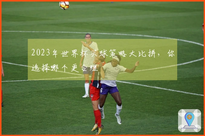 2023年世界杯买球策略大比拼，你选择哪个更合理