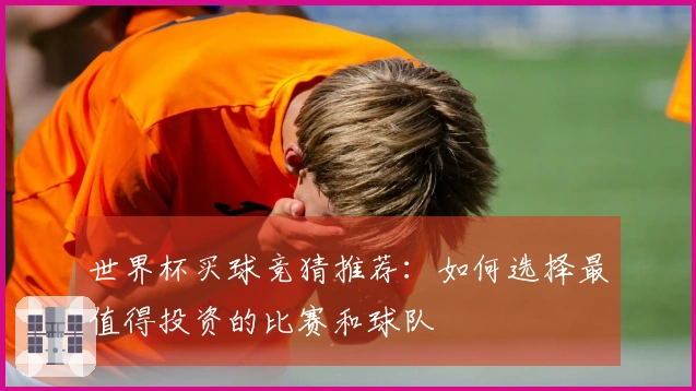 世界杯买球竞猜推荐：如何选择最值得投资的比赛和球队