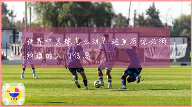 世界杯买球怎么玩？这里有你必须知道的入门信息