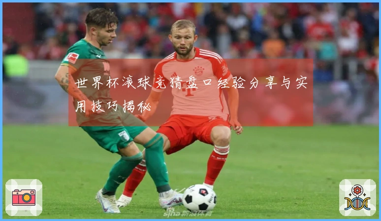 世界杯滚球竞猜盘口经验分享与实用技巧揭秘