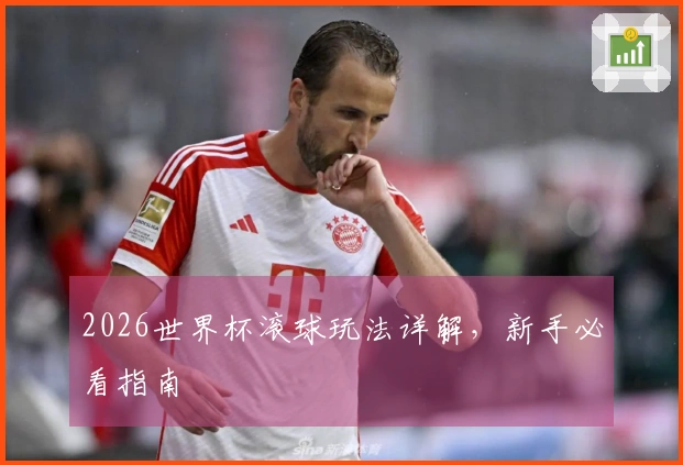 2026世界杯滚球玩法详解，新手必看指南