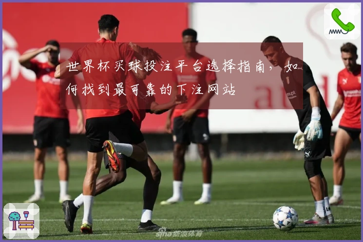 世界杯买球投注平台选择指南，如何找到最可靠的下注网站