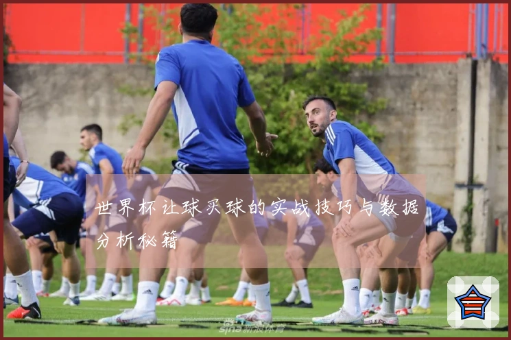 世界杯让球买球的实战技巧与数据分析秘籍