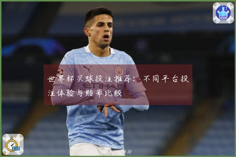 世界杯买球投注推荐：不同平台投注体验与赔率比较
