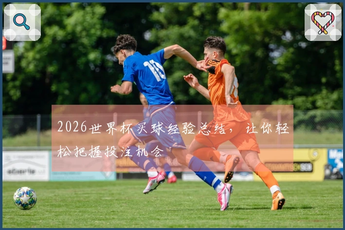 2026世界杯买球经验总结，让你轻松把握投注机会