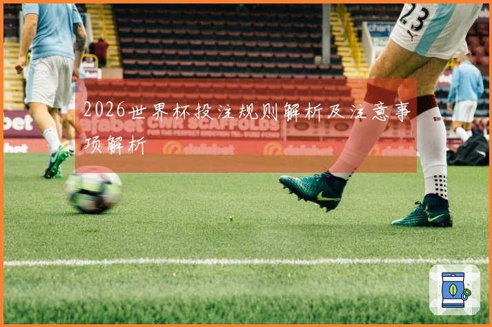 2026世界杯投注规则解析及注意事项解析