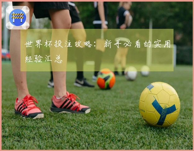 世界杯投注攻略：新手必看的实用经验汇总