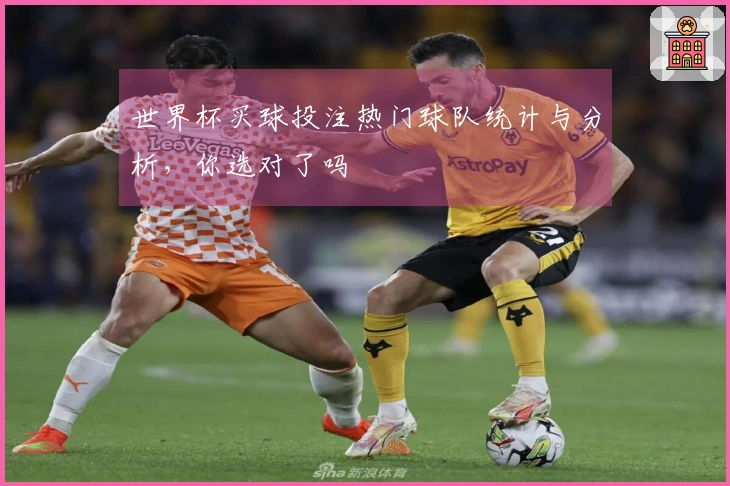 世界杯买球投注热门球队统计与分析，你选对了吗