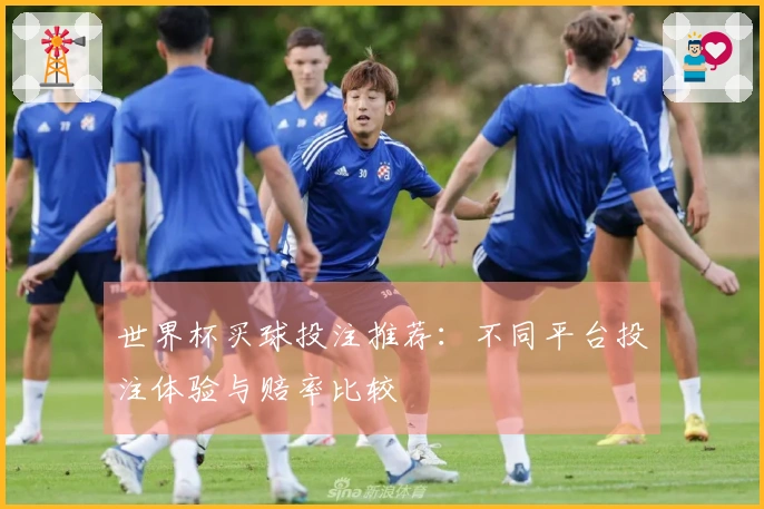 世界杯买球投注推荐：不同平台投注体验与赔率比较