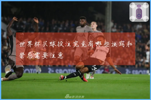 世界杯买球投注究竟有哪些诀窍和禁忌需要注意