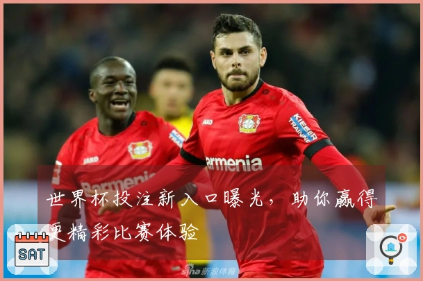 世界杯投注新入口曝光，助你赢得更精彩比赛体验