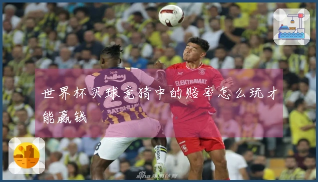 世界杯买球竞猜中的赔率怎么玩才能赢钱