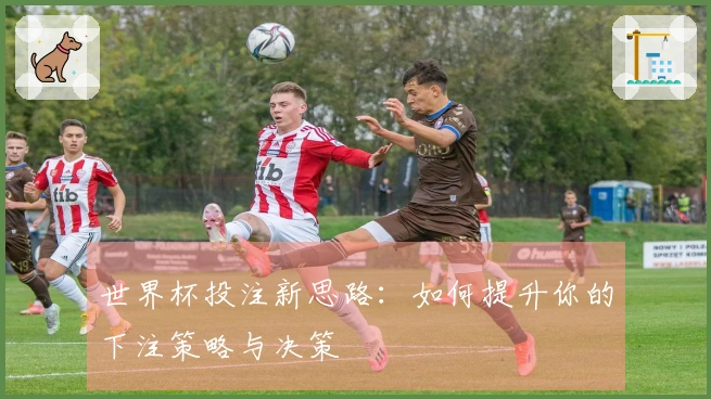 世界杯投注新思路：如何提升你的下注策略与决策