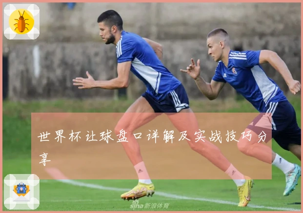 世界杯让球盘口详解及实战技巧分享