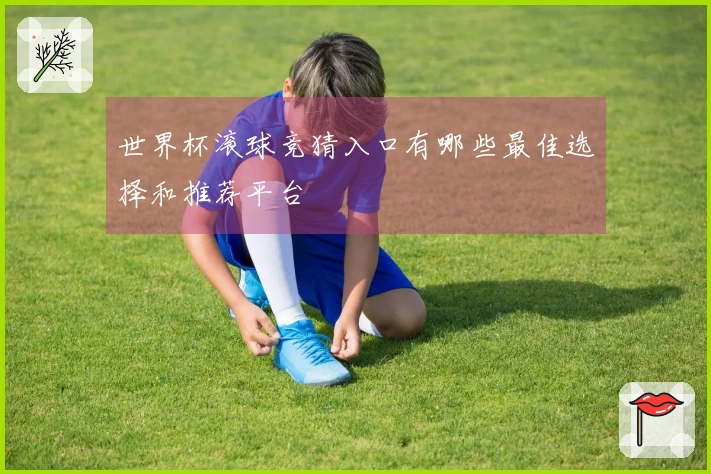 世界杯滚球竞猜入口有哪些最佳选择和推荐平台