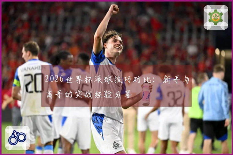 2026世界杯滚球技巧对比：新手与高手的实战经验分享