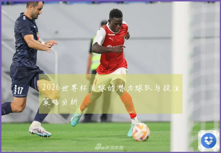 2026世界杯买球的潜力球队与投注策略分析
